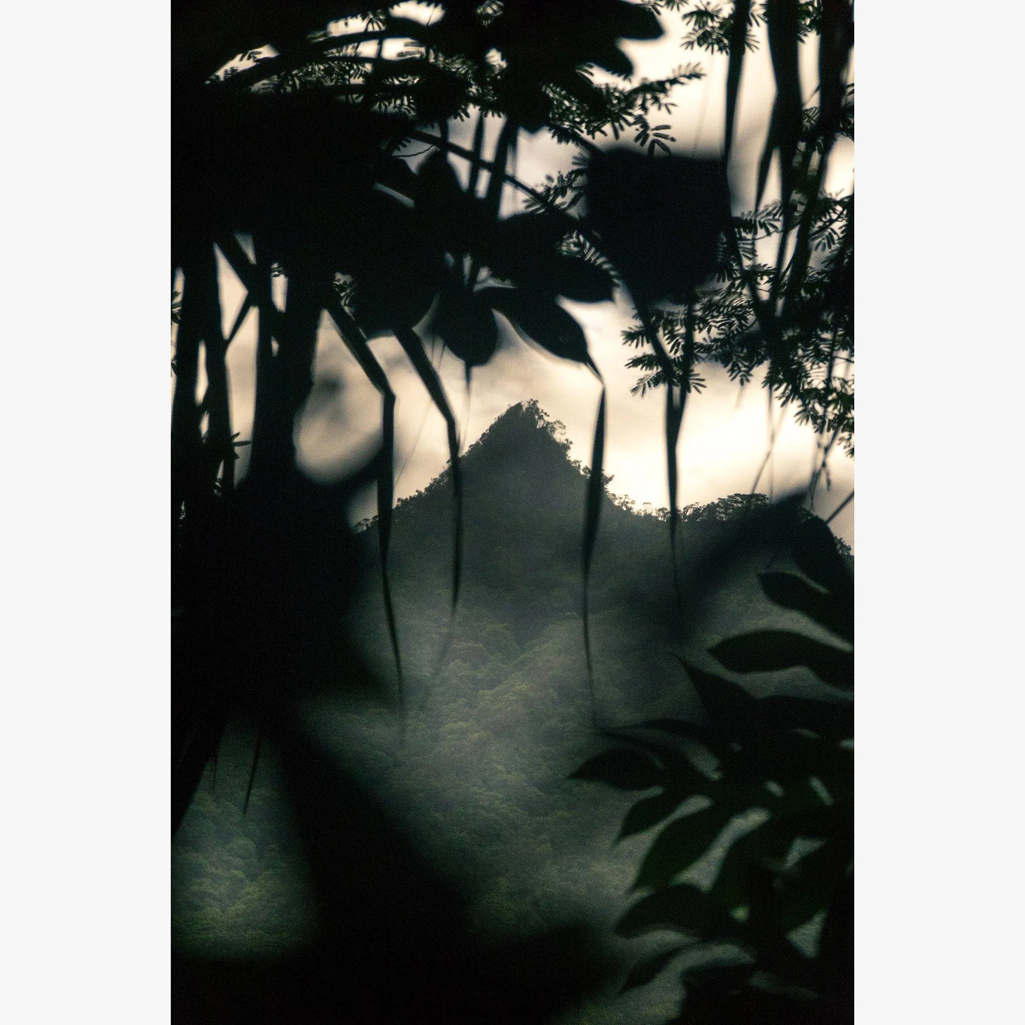 A Kiss to You Towards the Setting Sun 31