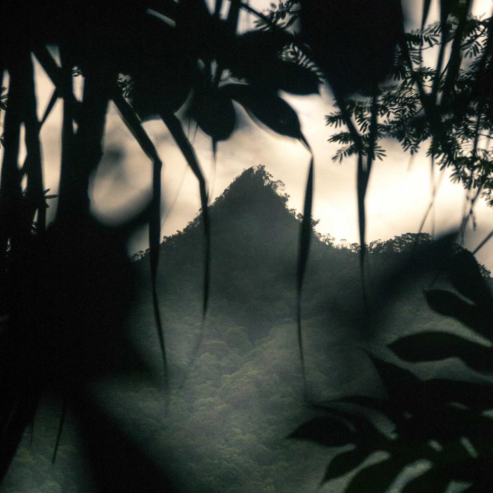 A Kiss to You Towards the Setting Sun 31