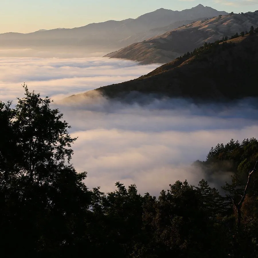Above the Clouds (Big Sur)
