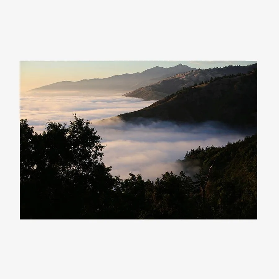 Above the Clouds (Big Sur)