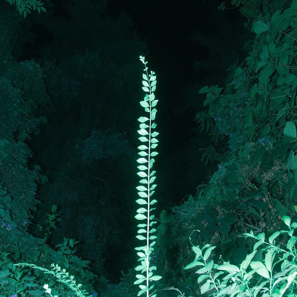 Antenna