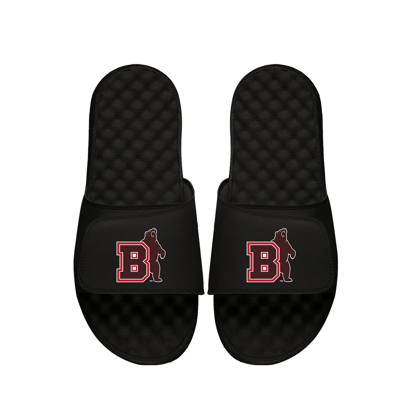 Brown University Bear Logo