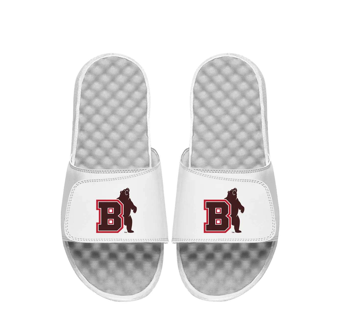 Brown University Bear Logo