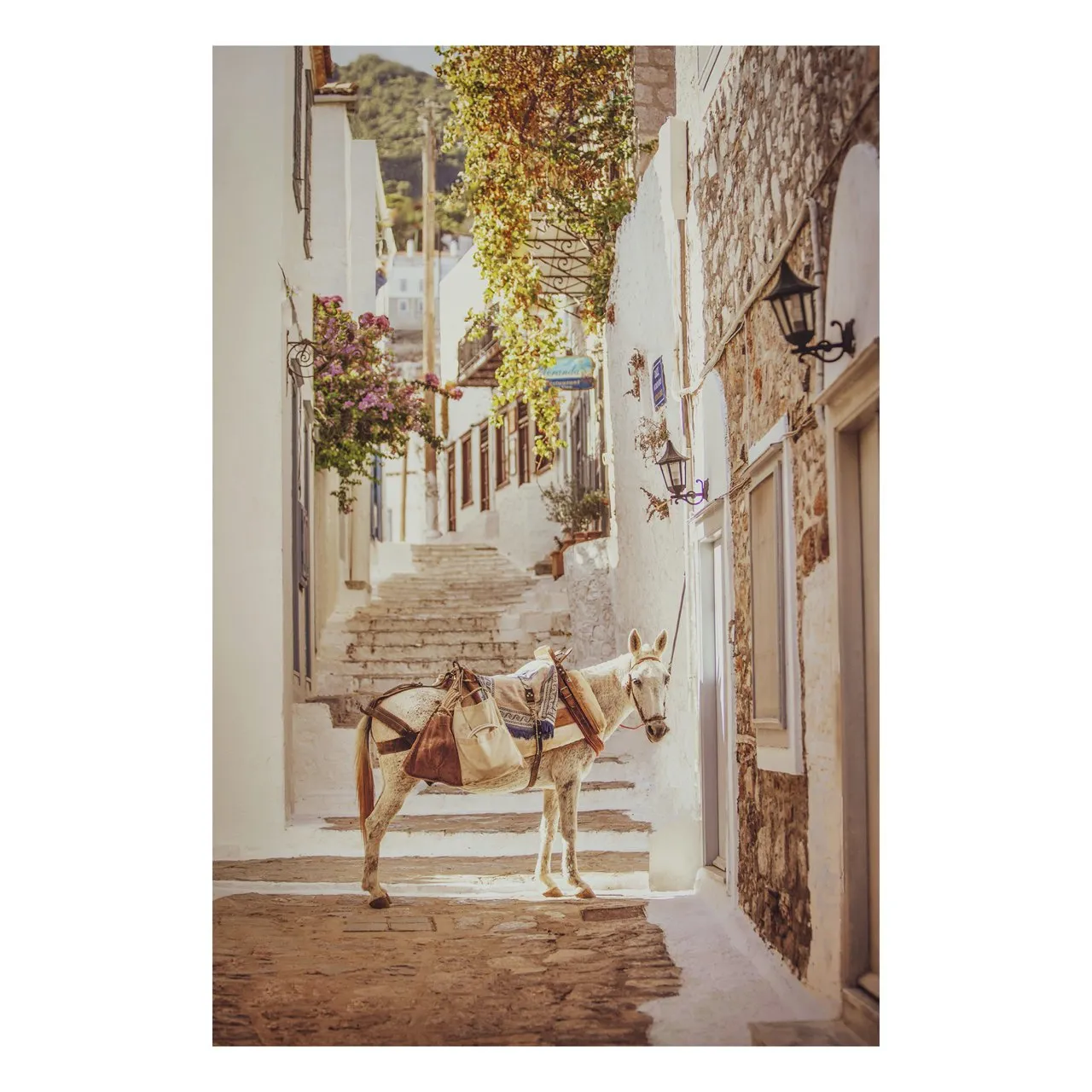 "Hydra, Greece" | Matted Print