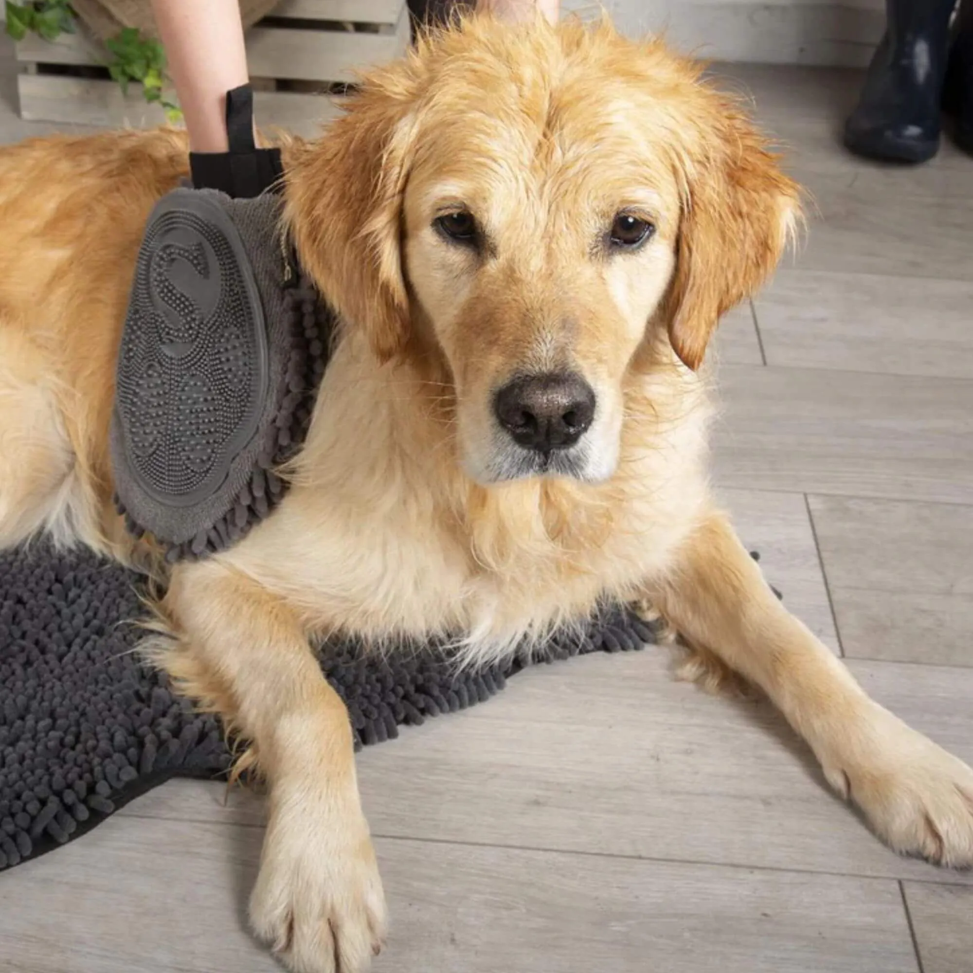 Scruffs Noodle Dry Mitt for Dogs